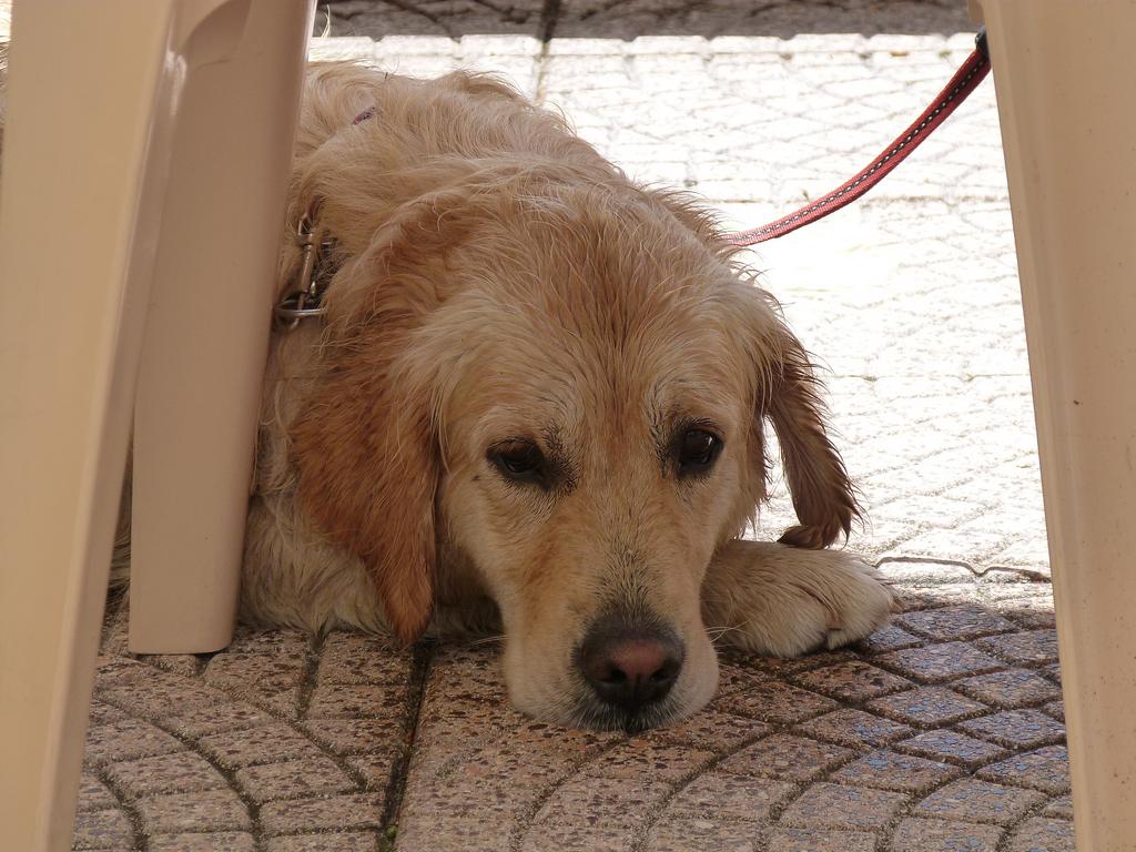 Clic pour l'image suivante