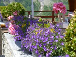 Clic pour agrandir l'image (1024x768 pixels; 175 KB)