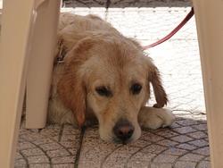 Clic pour agrandir l'image (1024x768 pixels; 120 KB)