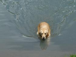 Clic pour agrandir l'image (1024x768 pixels; 75 KB)