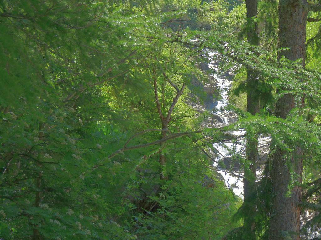 Clic pour l'image suivante