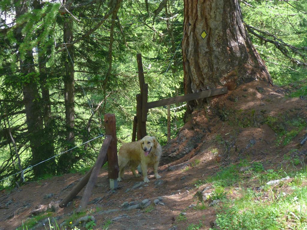 Clic pour l'image suivante