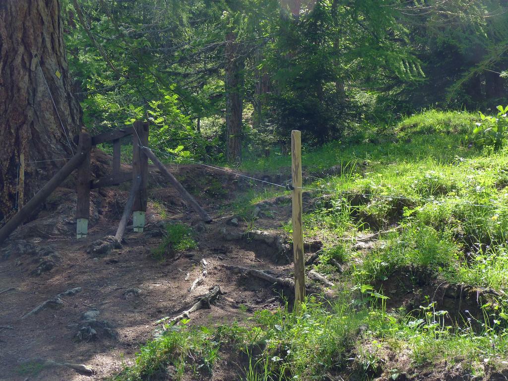 Clic pour l'image suivante