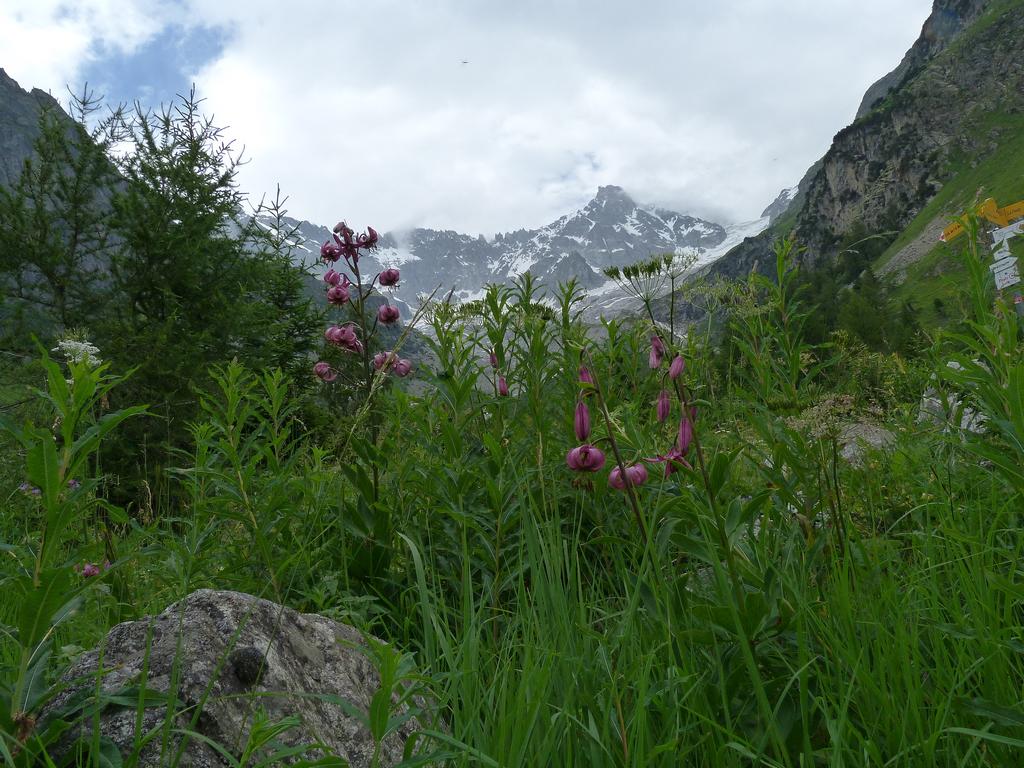 Clic pour l'image suivante