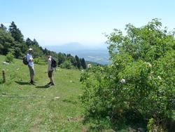 Clic pour agrandir l'image (1024x768 pixels; 201 KB)