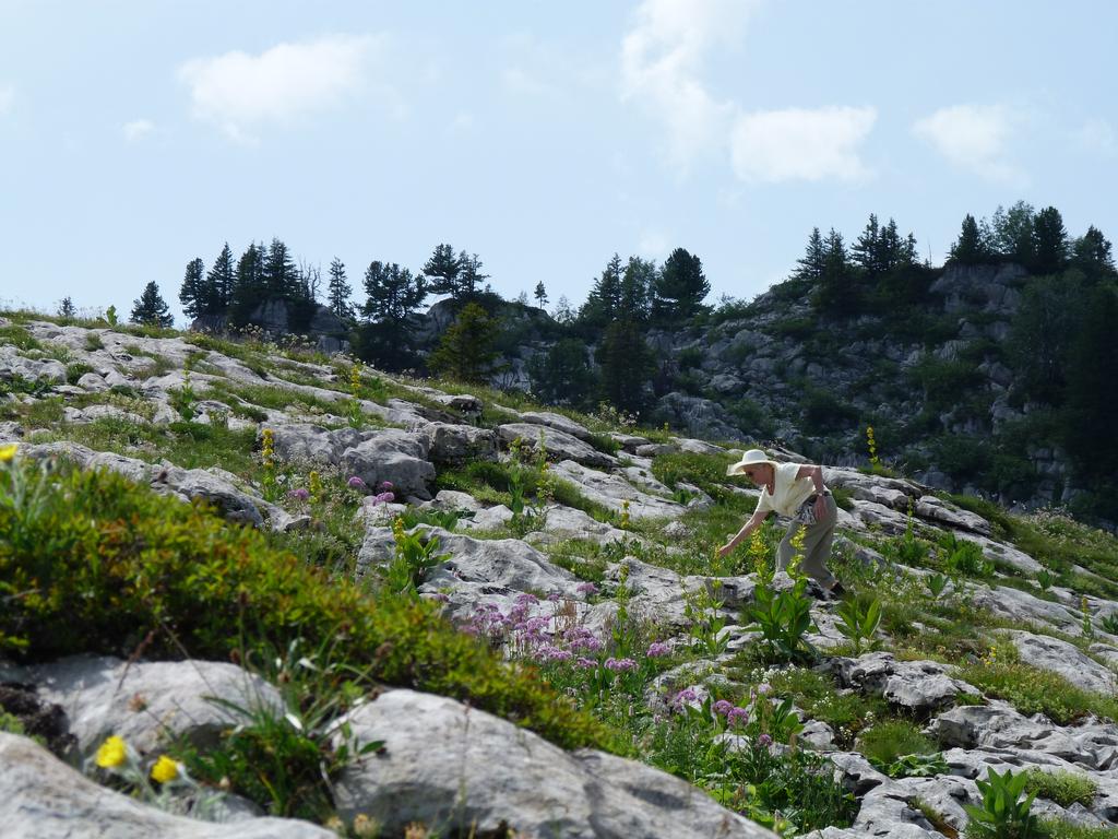 Clic pour l'image suivante