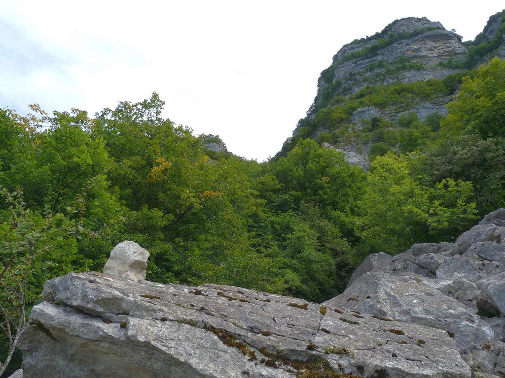 Clic pour l'image suivante