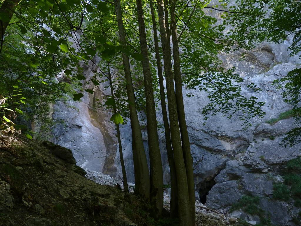 Clic pour l'image suivante