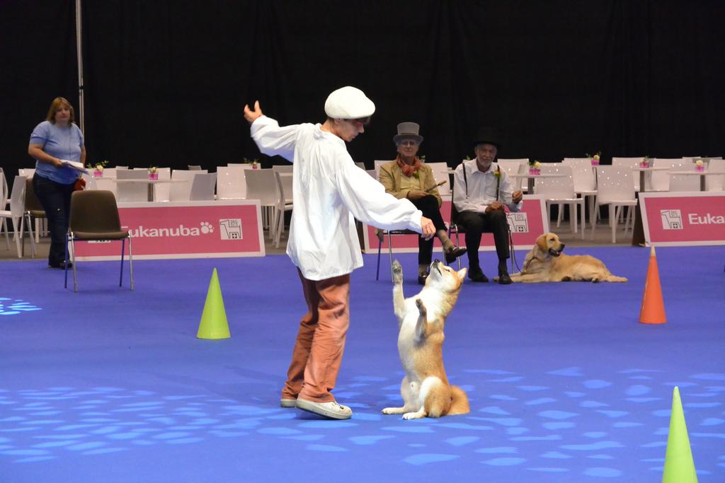 Clic pour l'image suivante