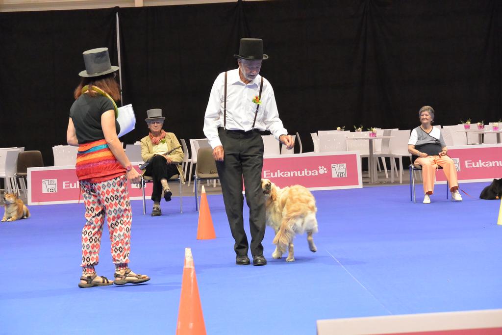 Clic pour l'image suivante