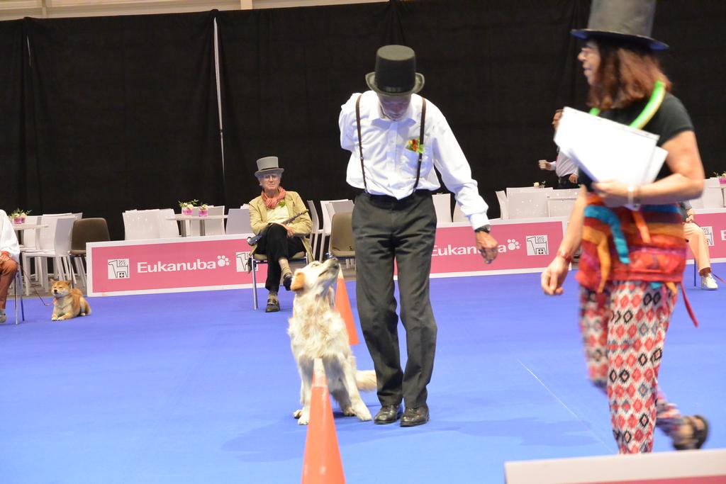 Clic pour l'image suivante