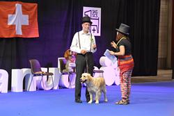 Clic pour agrandir l'image (1024x683 pixels; 83 KB)