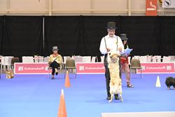 Clic pour agrandir l'image (1024x683 pixels; 75 KB)