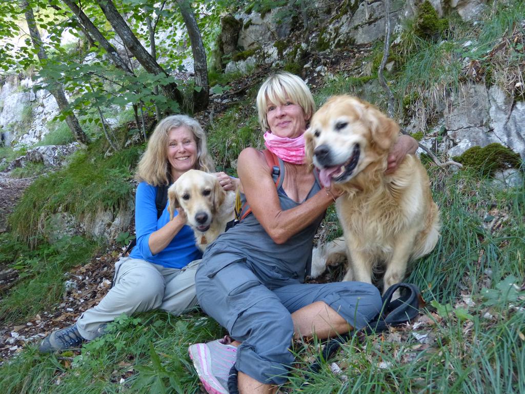 Clic pour l'image suivante