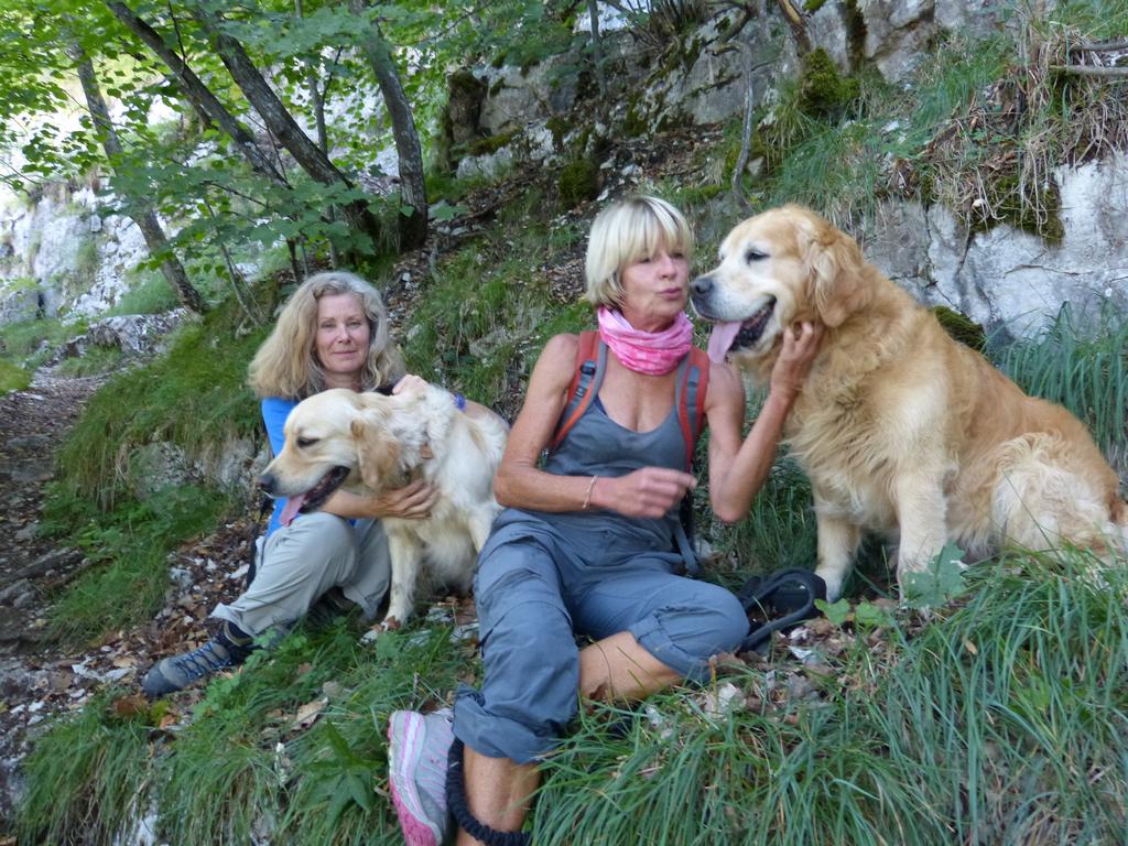 Clic pour l'image suivante