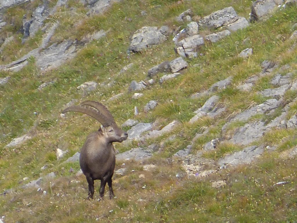 Clic pour l'image suivante