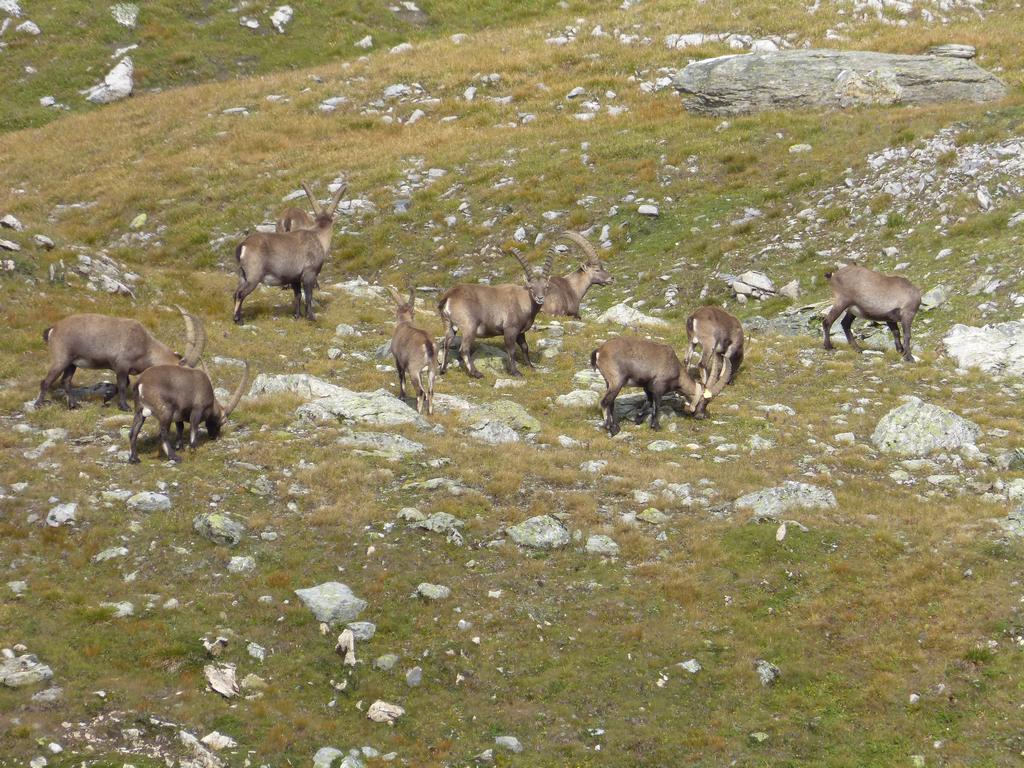 Clic pour l'image suivante