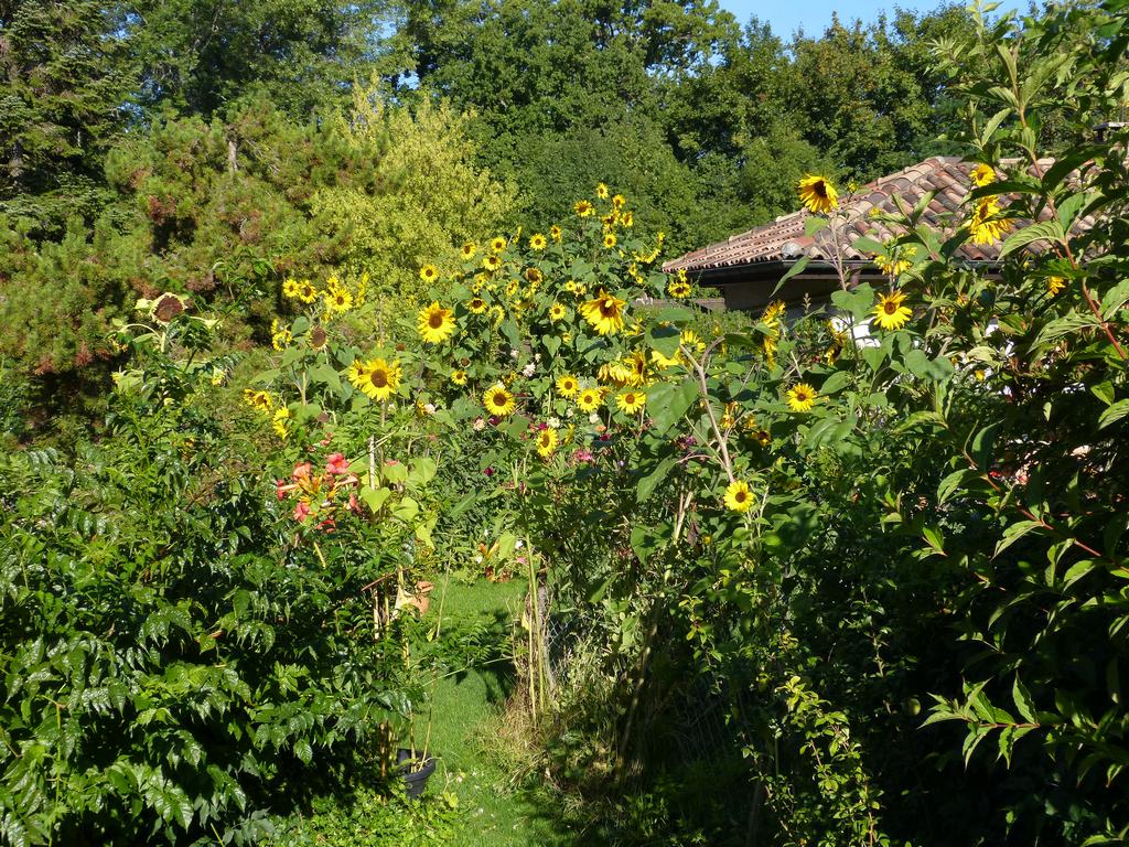 Clic pour l'image suivante