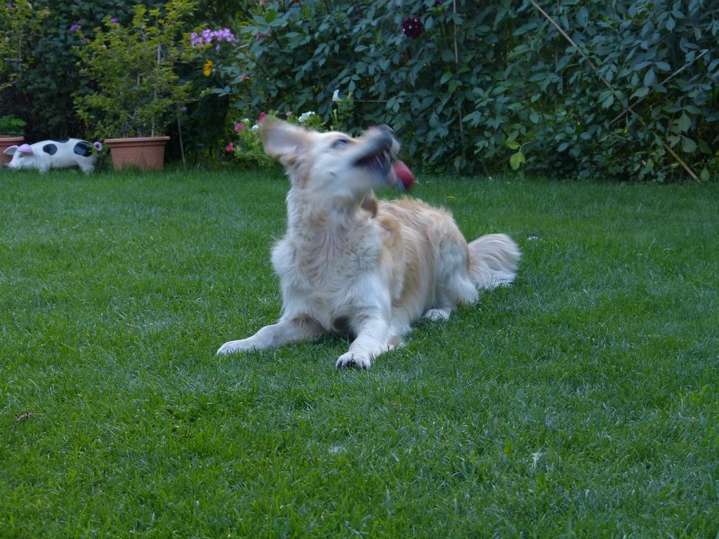 Clic pour l'image suivante