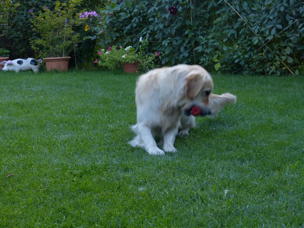 Clic pour l'image suivante