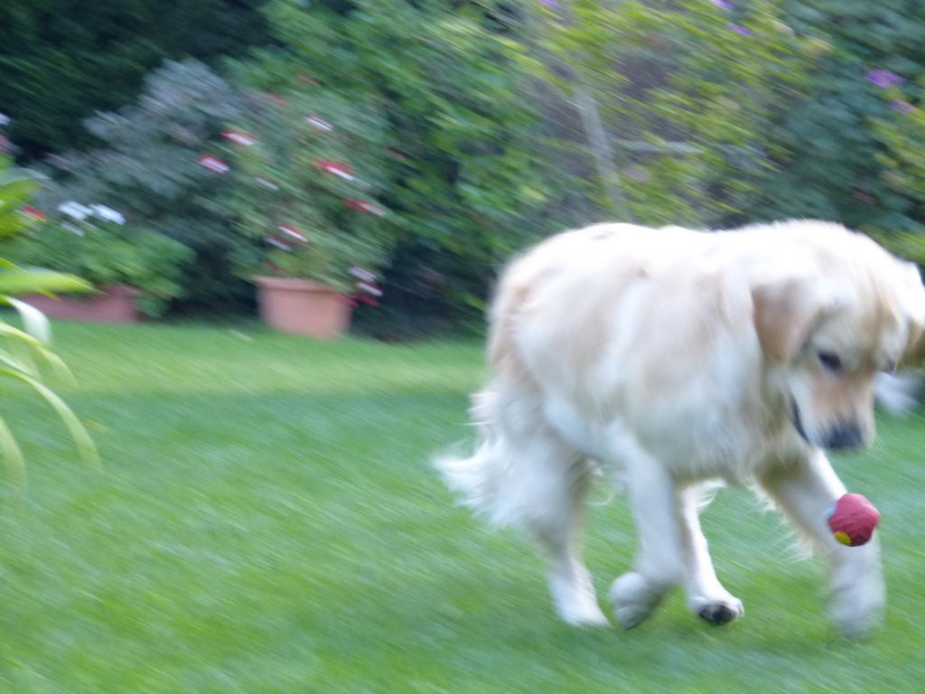 Clic pour l'image suivante