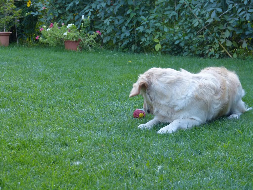 Clic pour l'image suivante