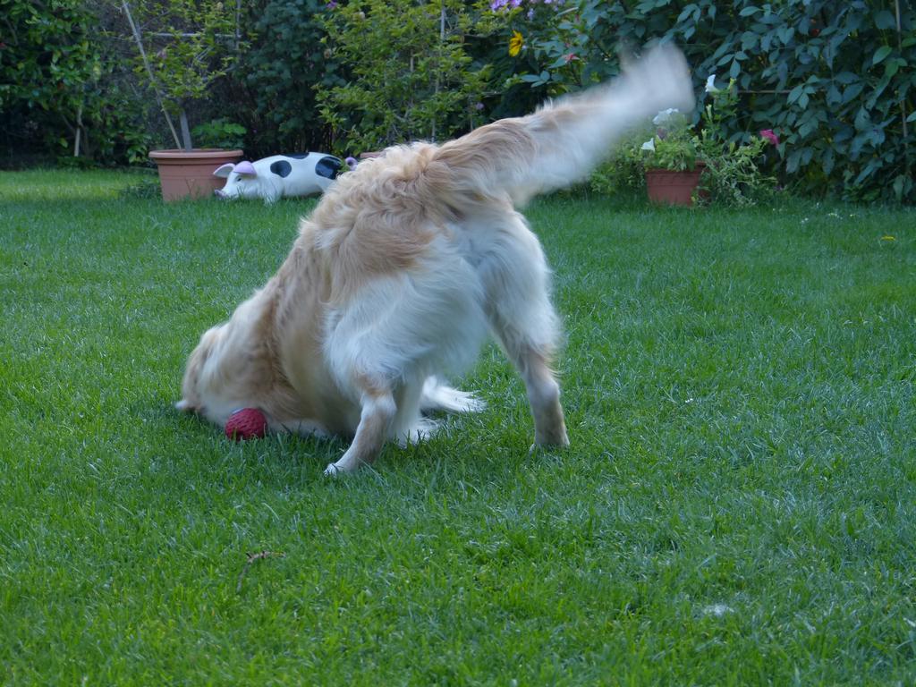 Clic pour l'image suivante