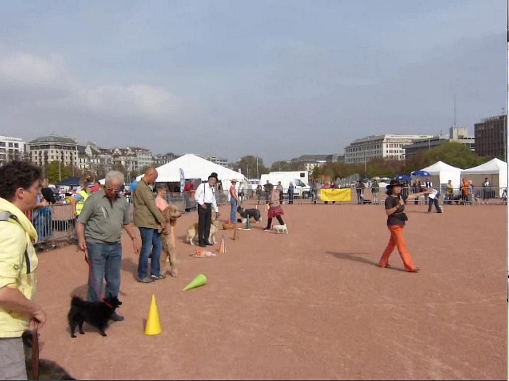 Clic pour l'image suivante