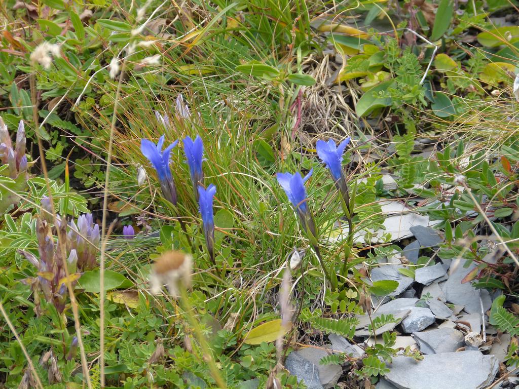 Clic pour l'image suivante