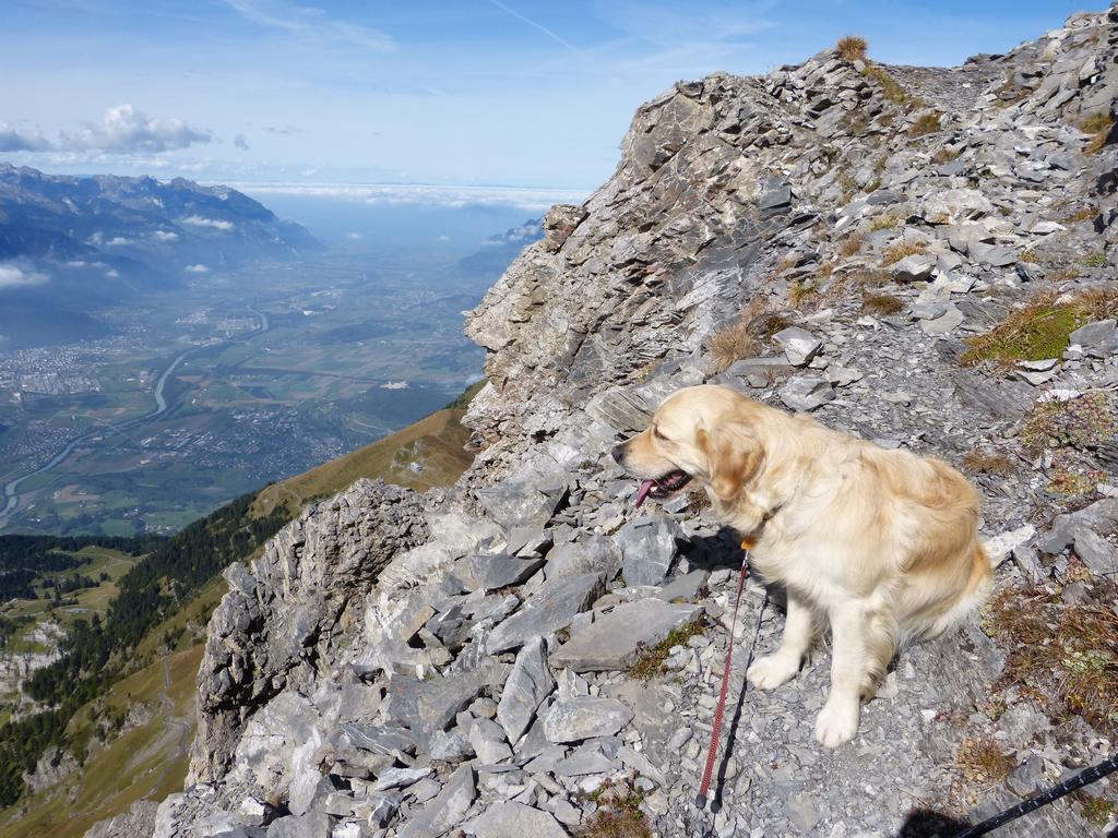 Clic pour l'image suivante