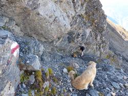 Clic pour agrandir l'image (1024x768 pixels; 212 KB)