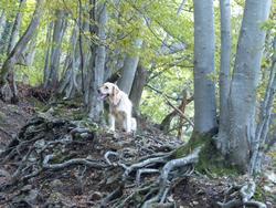 Clic pour agrandir l'image (1024x768 pixels; 179 KB)