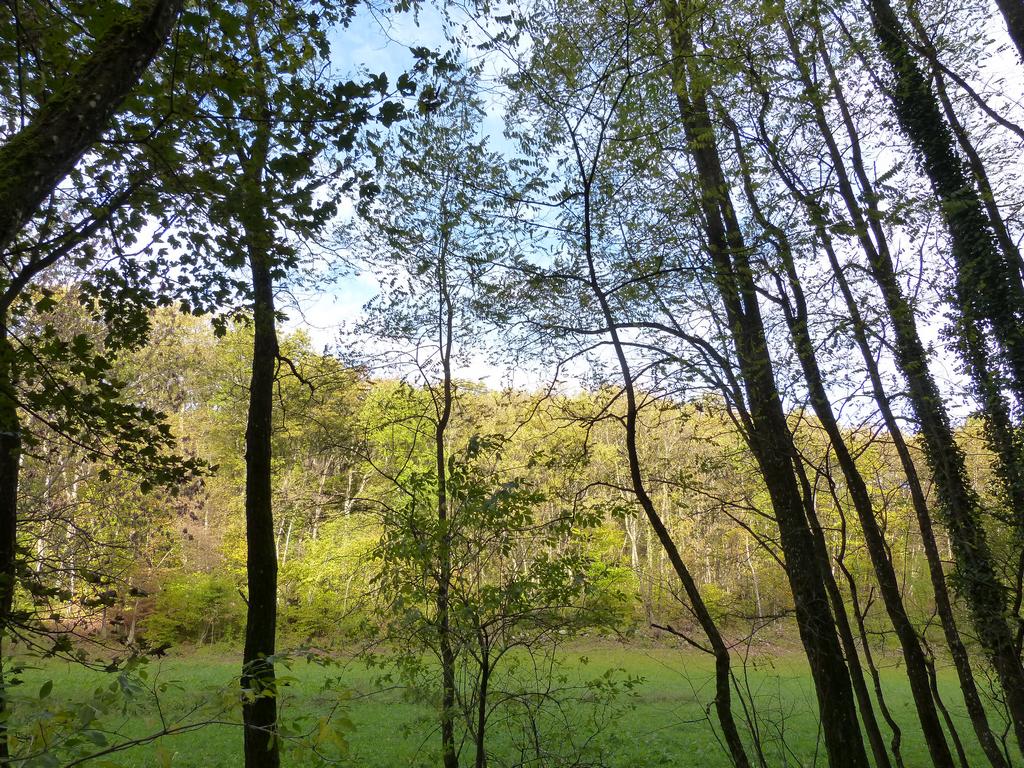 Clic pour l'image suivante