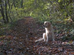 Clic pour agrandir l'image (1024x768 pixels; 217 KB)