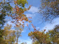 Clic pour agrandir l'image (1024x768 pixels; 248 KB)