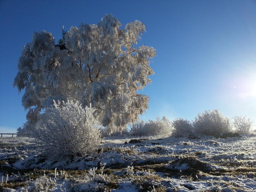 Clic pour l'image suivante