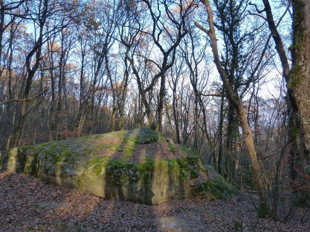 Clic pour l'image suivante