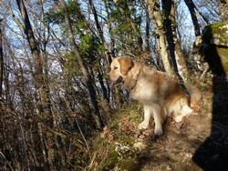 Clic pour agrandir l'image (1024x768 pixels; 265 KB)