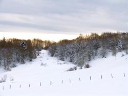 Clic pour agrandir l'image (1024x768 pixels; 94 KB)