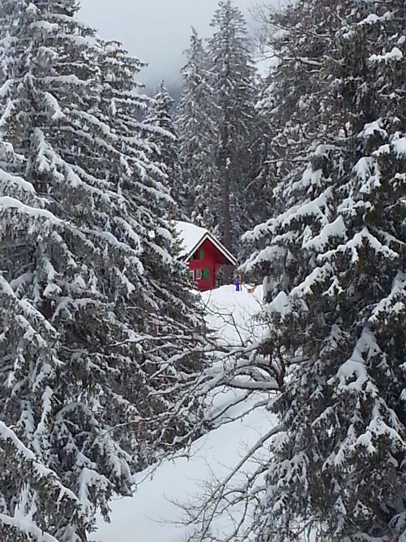 Clic pour l'image suivante