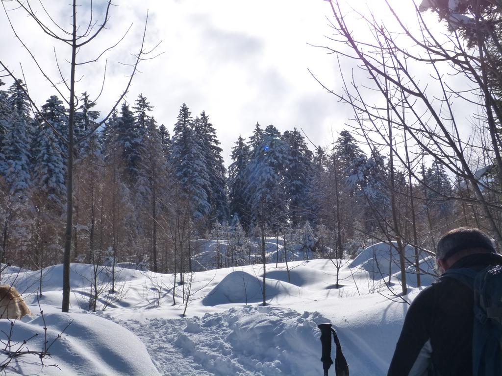 Clic pour l'image suivante