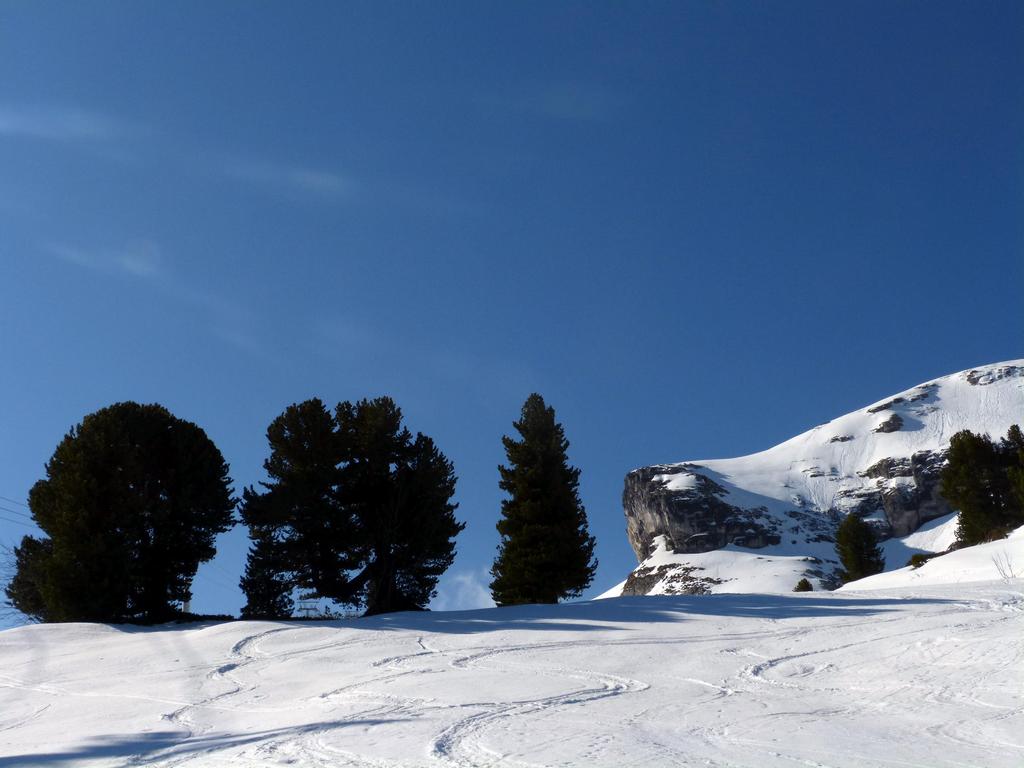 Clic pour l'image suivante