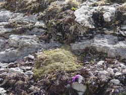 Clic pour agrandir l'image (1024x768 pixels; 259 KB)