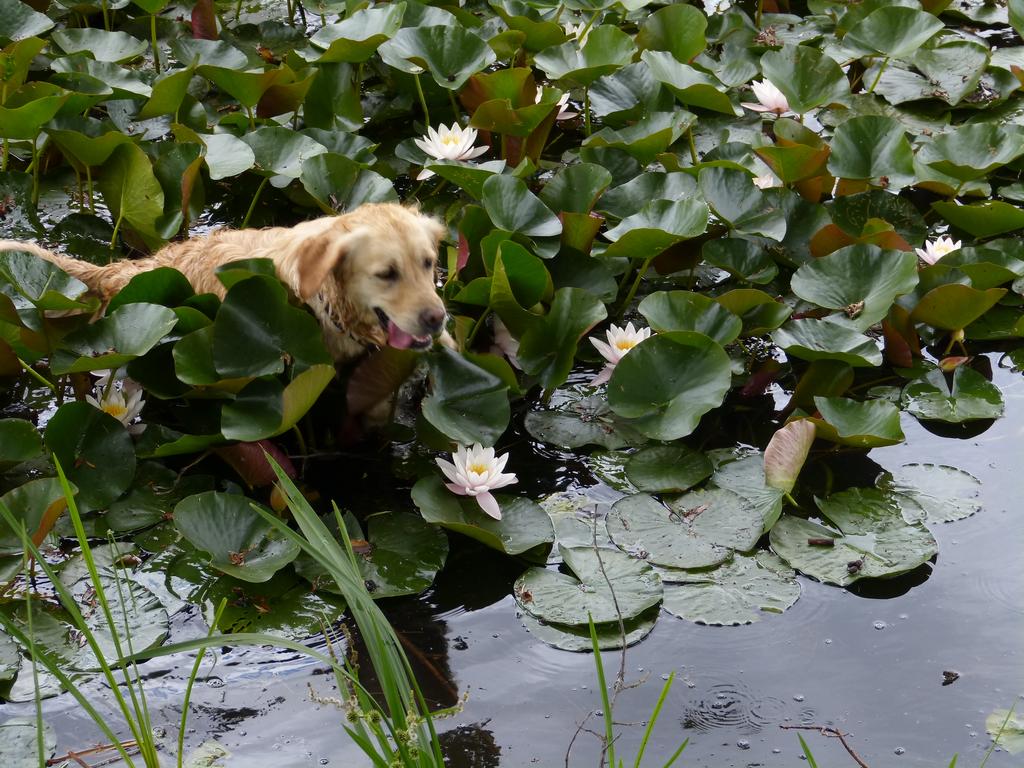 Clic pour l'image suivante