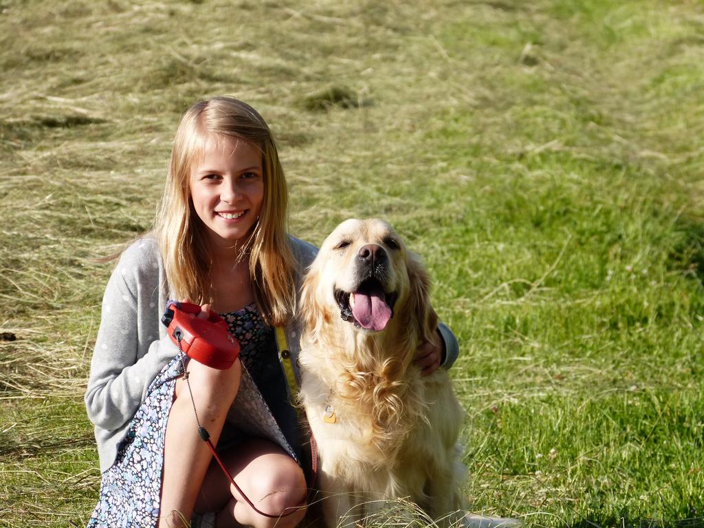 Clic pour l'image suivante