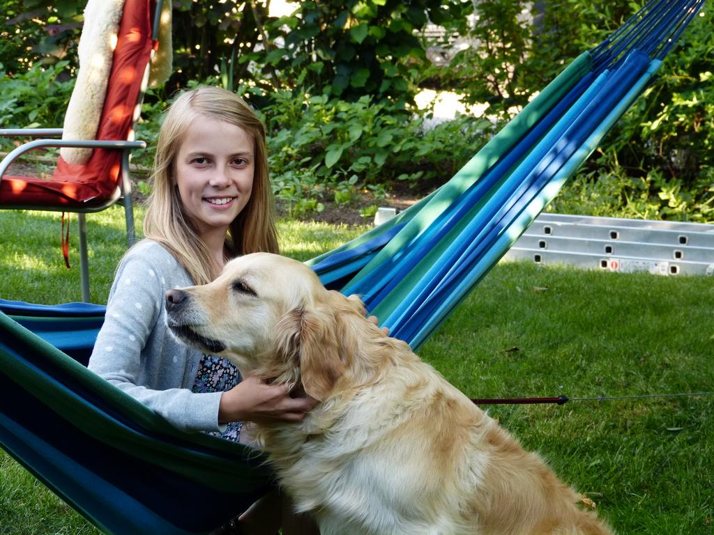 Clic pour l'image suivante