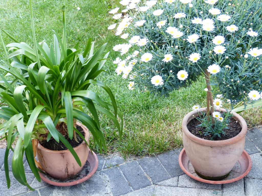 Clic pour l'image suivante