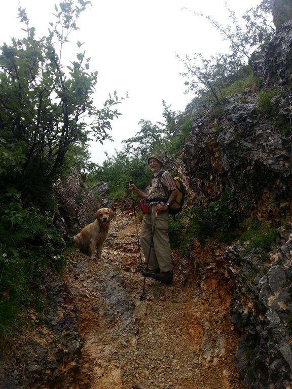 Clic pour l'image suivante