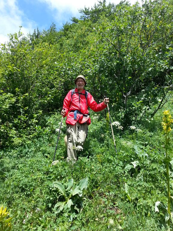 Clic pour l'image suivante