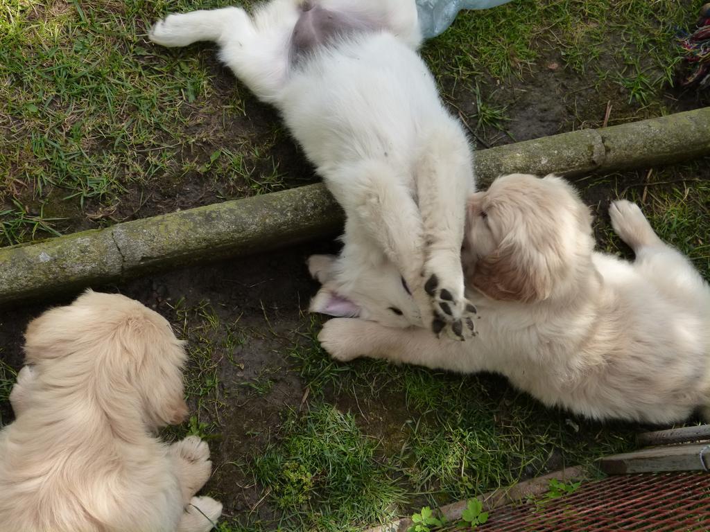 Clic pour l'image suivante